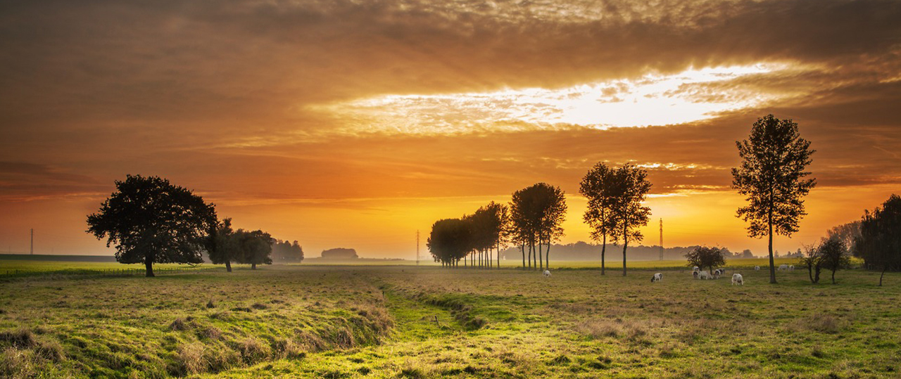 在线短信轰炸网页版