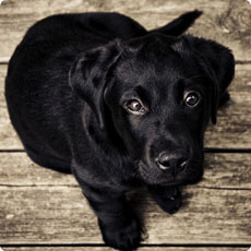 在哪开通最快的免费短信轰炸