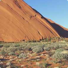 在线短信轰炸网页版