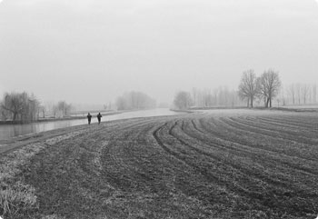 在线短信轰炸网页版