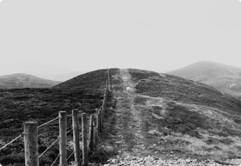 无限发短信验证码软件